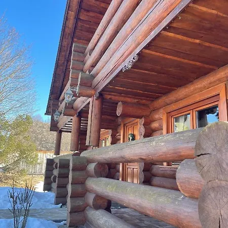 Trinity Log Wellness