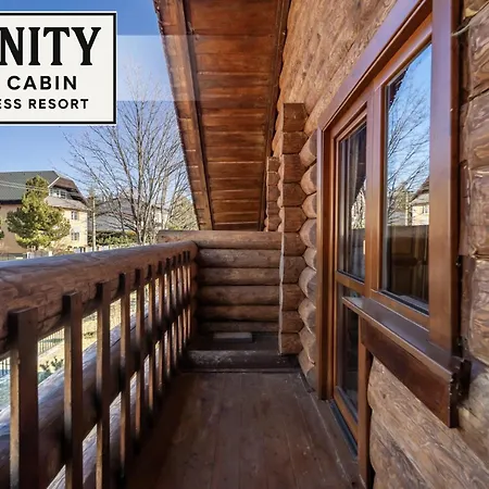 Trinity Log Wellness Dom wakacyjny