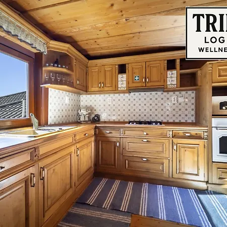 Trinity Log Wellness Hébergement de vacances Štrba