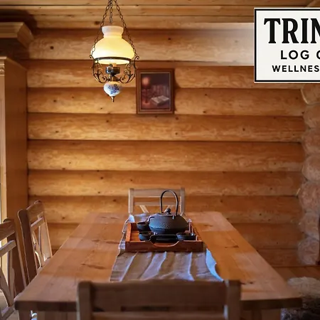 Hébergement de vacances Trinity Log Wellness *