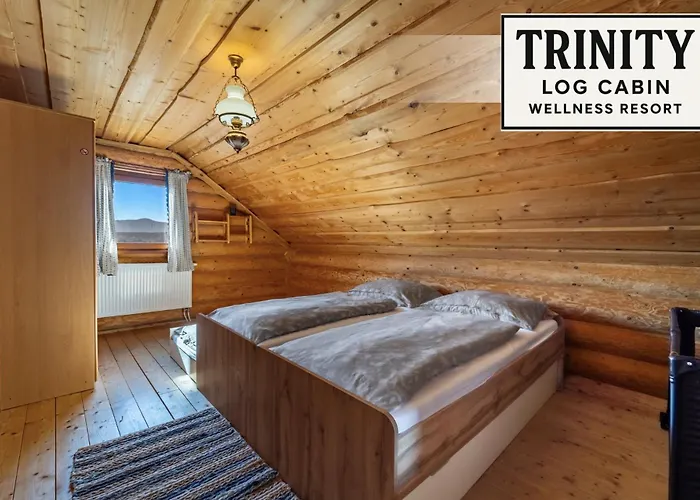 펜션 Trinity Log Wellness *